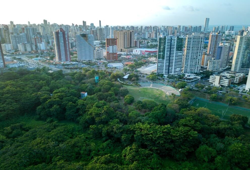 Seguro de responsabilidad medioambiental para empresas